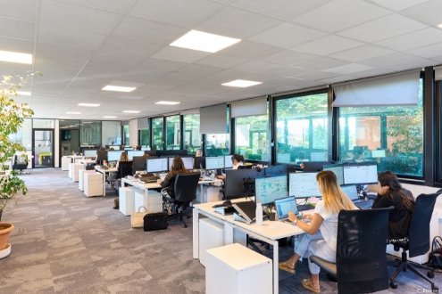 Codeo Group Emploi