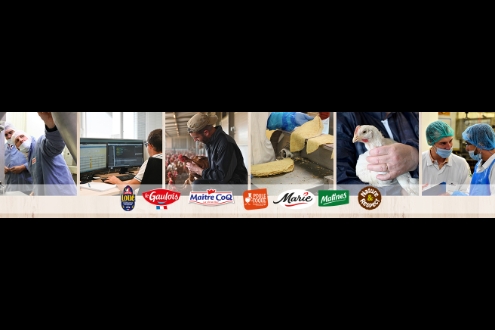 LDC Groupe Emploi